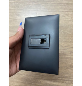 Cj Entrada Rj11 (Telefone)  Horizontal 4x2 - Pial Plus + Preto 